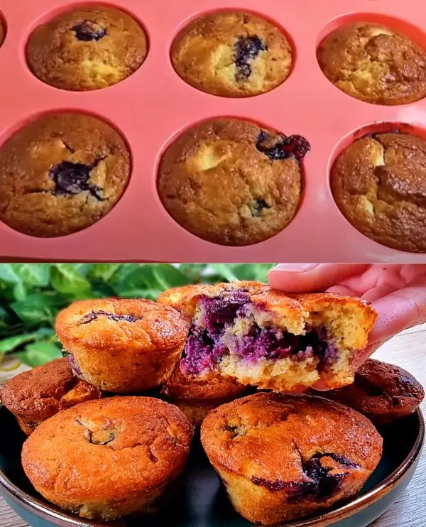 Oats, Yogurt, and Blueberry Diet Muffins